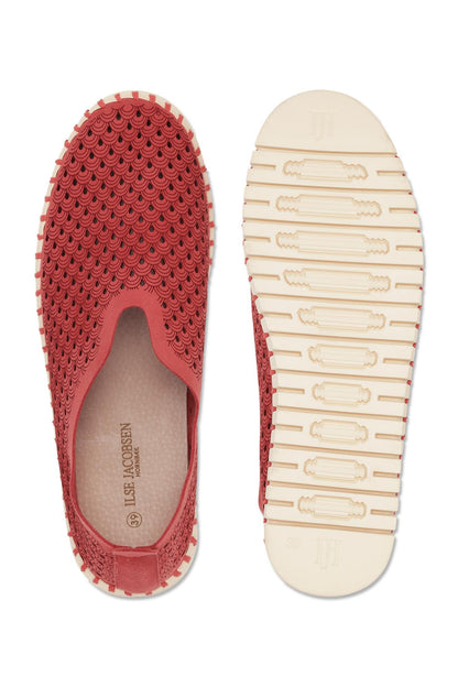 TULIP3275